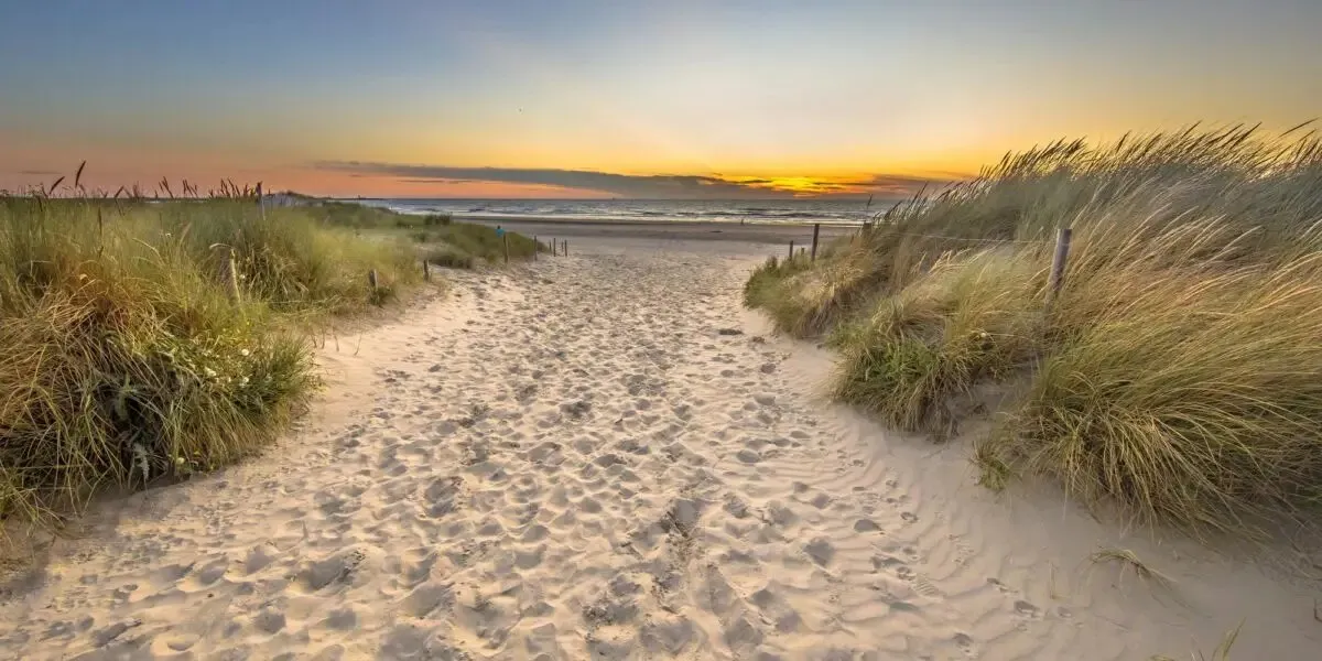 Zandpad tussen het helmgras naar het strand